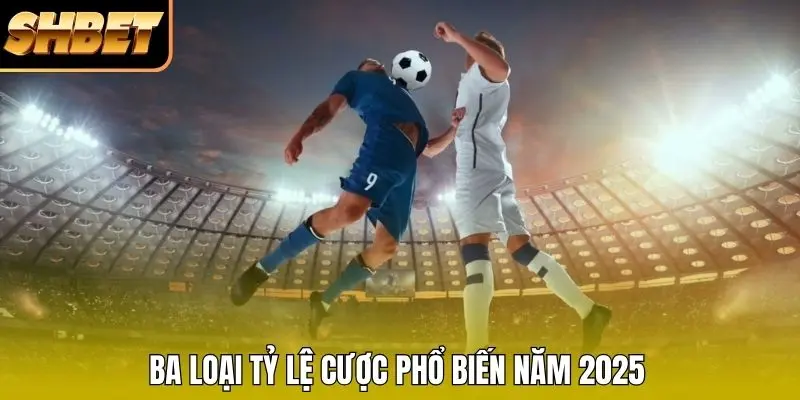 Ba loại tỷ lệ cược phổ biến năm 2026 Ba loại tỷ lệ cược phổ biến năm 2026