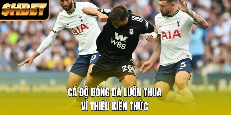 Cá độ bóng đá luôn thua vì thiếu kiến thức Cá độ bóng đá luôn thua vì thiếu kiến thức