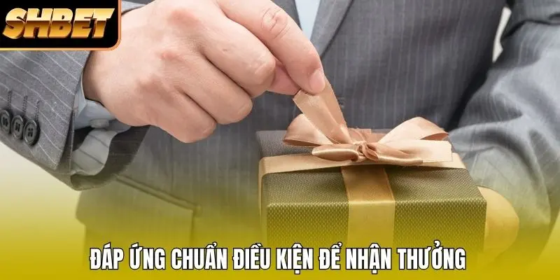 Đáp ứng chuẩn điều kiện để nhận thưởng Đáp ứng chuẩn điều kiện để nhận thưởng