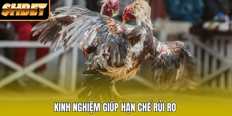 Kinh nghiệm giúp hạn chế rủi ro Kinh nghiệm giúp hạn chế rủi ro