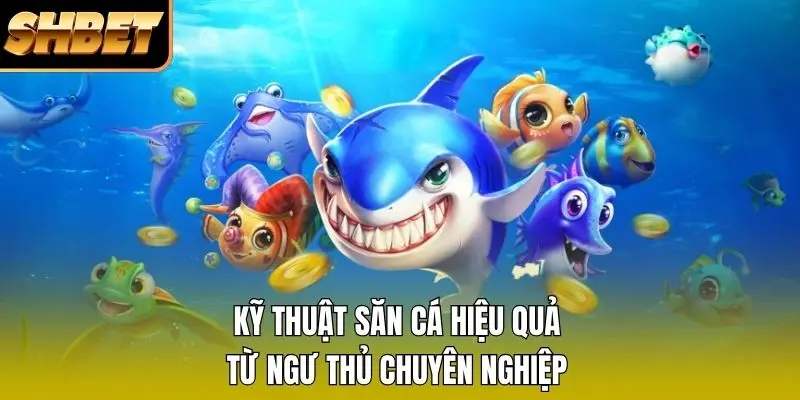 Kỹ thuật săn cá hiệu quả từ ngư thủ chuyên nghiệp Kỹ thuật săn cá hiệu quả từ ngư thủ chuyên nghiệp