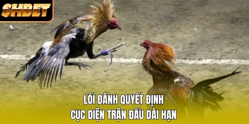 Lối đánh quyết định cục diện trận đấu dài hạn Lối đánh quyết định cục diện trận đấu dài hạn