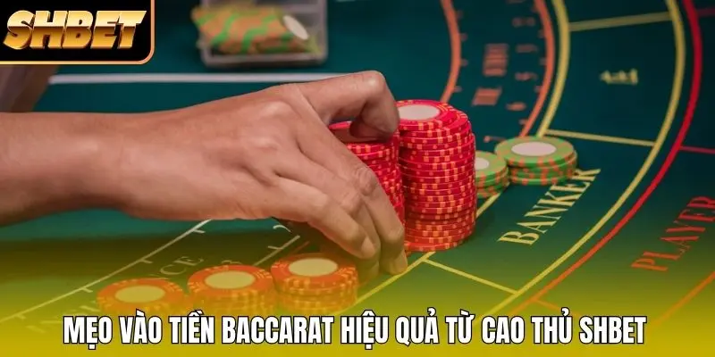 Mẹo vào tiền Baccarat hiệu quả từ cao thủ SHBET Mẹo vào tiền Baccarat hiệu quả từ cao thủ SHBET