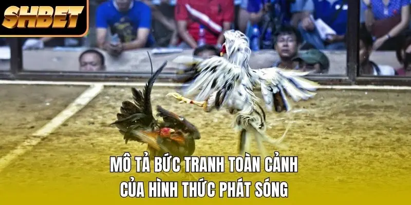 Mô tả bức tranh toàn cảnh của hình thức phát sóng Mô tả bức tranh toàn cảnh của hình thức phát sóng