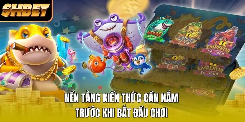 Nền tảng kiến thức cần nắm trước khi bắt đầu chơi Nền tảng kiến thức cần nắm trước khi bắt đầu chơi