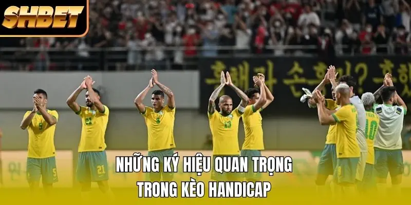 Những ký hiệu quan trọng trong kèo Handicap Những ký hiệu quan trọng trong kèo Handicap