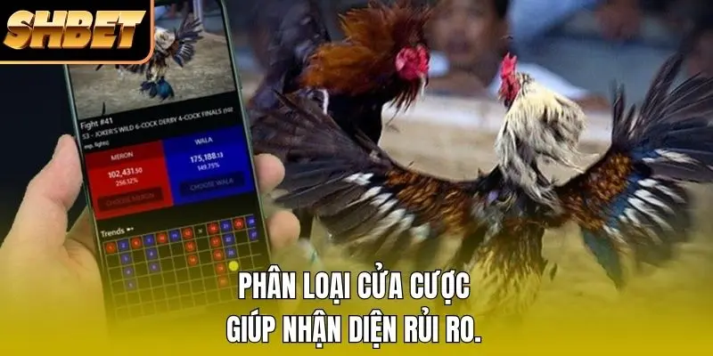 Phân loại cửa cược giúp nhận diện rủi ro. Phân loại cửa cược giúp nhận diện rủi ro.