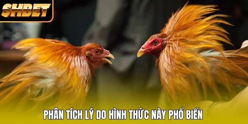 Phân tích lý do hình thức này phổ biến Phân tích lý do hình thức này phổ biến