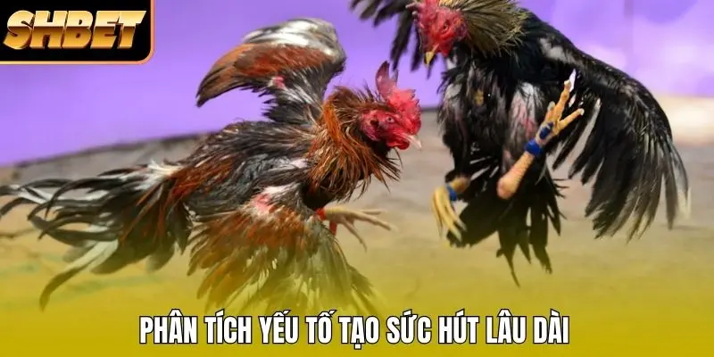 Phân tích yếu tố tạo sức hút lâu dài Phân tích yếu tố tạo sức hút lâu dài
