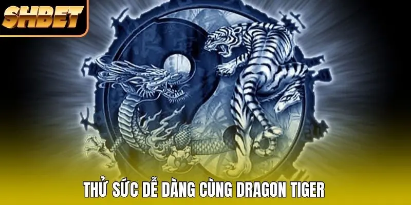 Thử sức dễ dàng cùng Dragon Tiger Thử sức dễ dàng cùng Dragon Tiger