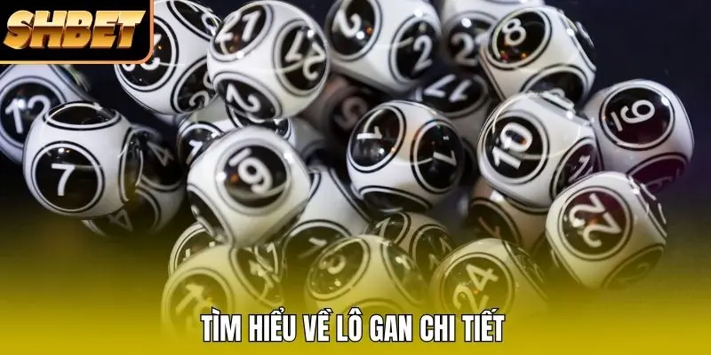 Tìm hiểu về lô gan chi tiết Tìm hiểu về lô gan chi tiết