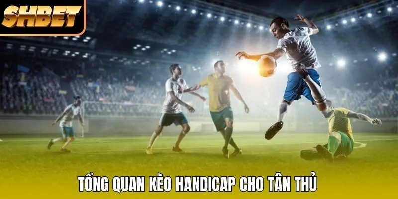 Tổng quan kèo Handicap cho tân thủ Tổng quan kèo Handicap cho tân thủ