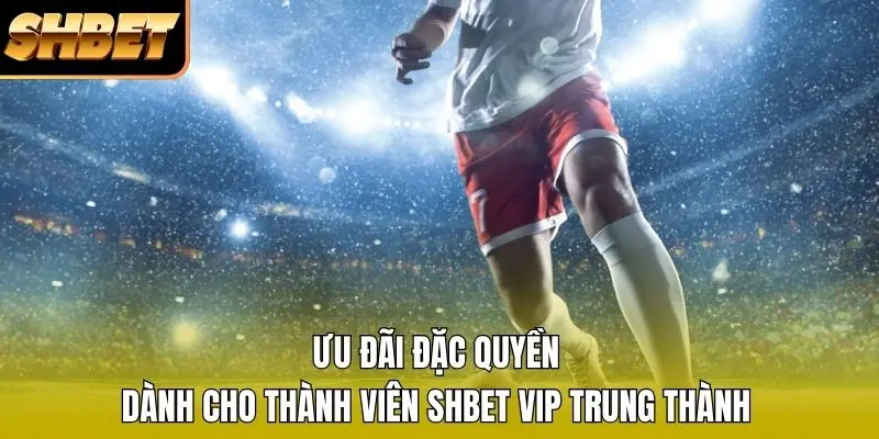 Ưu đãi đặc quyền dành cho thành viên SHBET VIP trung thành Ưu đãi đặc quyền dành cho thành viên SHBET VIP trung thành